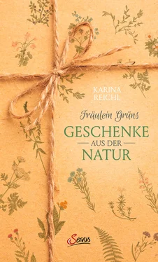 Karina Reichl Fräulein Grüns Geschenke aus der Natur обложка книги