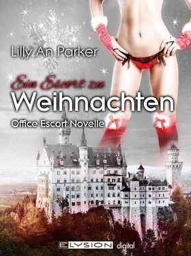 Jennifer Schreiner Ein Escort zu Weihnachten обложка книги