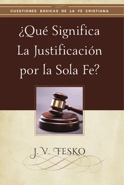 J. V. Fesko ¿Qué Significa la Justificación por la Sola Fe? обложка книги