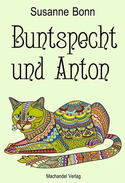 Susanne Bonn Buntspecht und Anton обложка книги