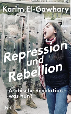 Karim El-Gawhary Repression und Rebellion обложка книги