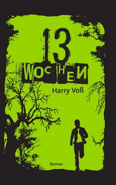 Harry Voß 13 Wochen обложка книги