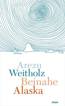 Arezu Weitholz Beinahe Alaska обложка книги