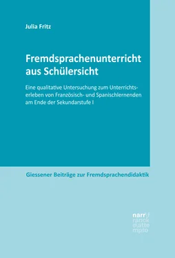 Julia Fritz Fremdsprachenunterricht aus Schülersicht обложка книги