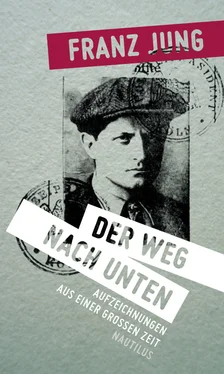 Franz Jung Der Weg nach unten обложка книги