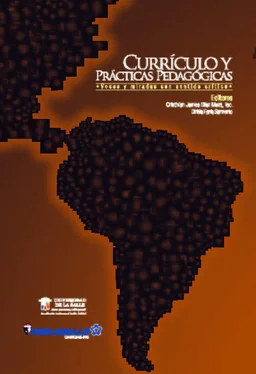Cristhian James FSC Hno Díaz Meza Currículo y prácticas pedagógicas обложка книги