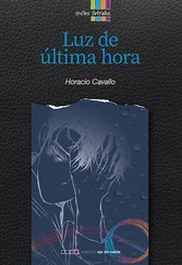 Horacio Cavallo - Luz de última hora