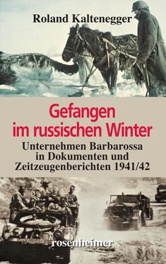 Roland Kaltenegger Gefangen im russischen Winter обложка книги