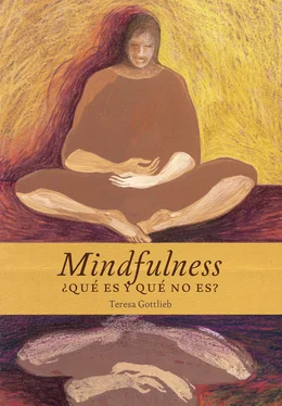 Teresa Gottlieb Mindfulness, ¿qué es y qué no es? обложка книги