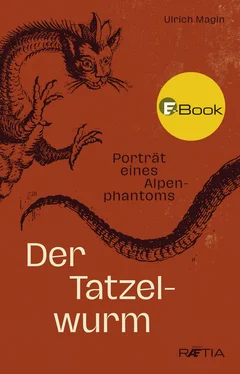 Ulrich Magin Der Tatzelwurm обложка книги