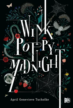 April Genevieve Tucholke Wink, Poppy, Midnight обложка книги