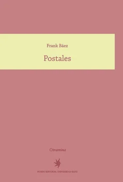 Frank Báez Postales обложка книги