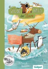 Andrea Poßberg - Das Wilde Haus der Tiere – Volle Scholle voraus