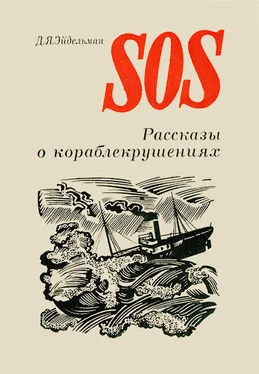 Давид Эйдельман SOS обложка книги