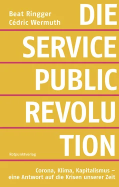 Beat Ringger Die Service-Public-Revolution обложка книги