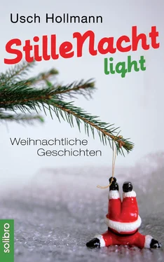 Usch Hollmann Stille Nacht light обложка книги