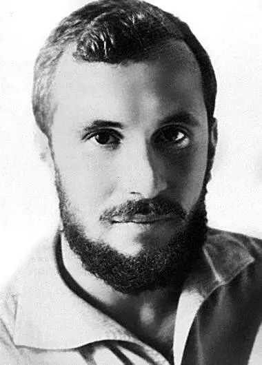 Середина 1970х Мемориал Были ли вам помимо голосов доступны журналы - фото 138