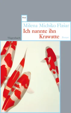 Milena Michiko Flasar Ich nannte ihn Krawatte обложка книги