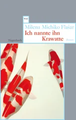 Milena Michiko Flasar - Ich nannte ihn Krawatte