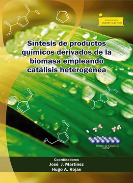 José Jobanny Martínez Zambrano Síntesis de productos químicos derivados de la biomasa empleando catálisis heterogénea обложка книги