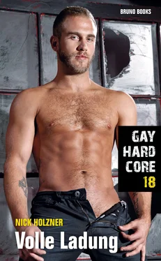 Nick Holzner Gay Hardcore 18: Volle Ladung обложка книги