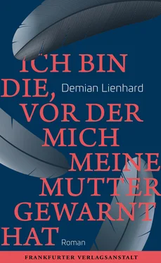 Demian Lienhard Ich bin die, vor der mich meine Mutter gewarnt hat обложка книги