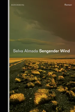 Selva Almada Sengender Wind обложка книги