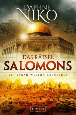 Daphne Niko DAS RÄTSEL SALOMONS обложка книги