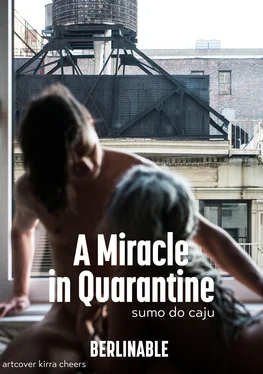 Sumo do Caju A Miracle in Quarantine обложка книги