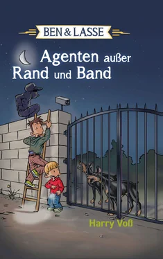 Harry Voß Ben und Lasse - Agenten außer Rand und Band обложка книги