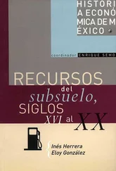 Inés Herrera - Recursos del subsuelo, siglos XVI al XX