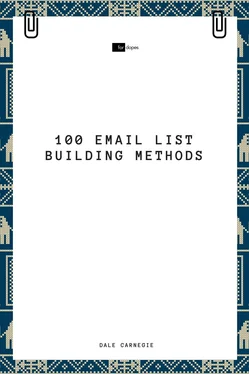 Sheba Blake 100 Email List Building Methods обложка книги