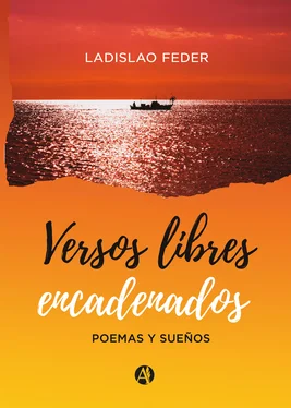 Ladislao Feder Versos libres encadenados обложка книги