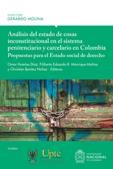 Óscar Mejía Quintana - Análisis del estado de cosas inconstitucional en el sistema penitenciario y carcelario en Colombia - propuestas para el Estado social de derecho