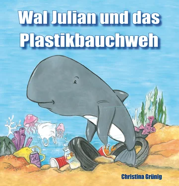 Christina Grünig Wal Julian und das Plastikbauchweh обложка книги