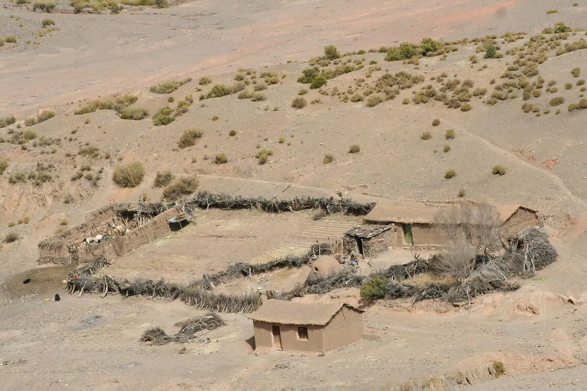 Das sind unsere ältesten Lamas Sie leben auf unserem Anwesen wie Haustiere - фото 6