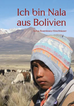 Sylvia Rosenkranz-Hirschhäuser Ich bin Nala aus Bolivien обложка книги