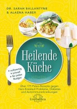 Aleana Haber Heilende Küche обложка книги