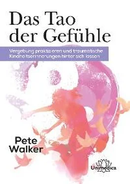 Pete Walker Das Tao der Gefühle обложка книги