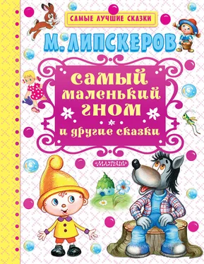 Михаил Липскеров Самый маленький гном и другие сказки обложка книги