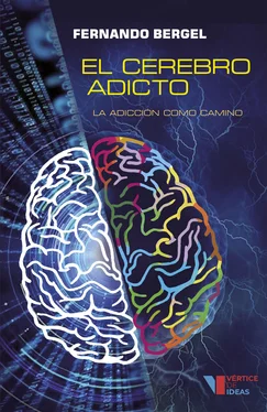 Fernando Bergel El cerebro adicto обложка книги