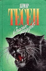 Ялмар Тесен - Опасное соседство