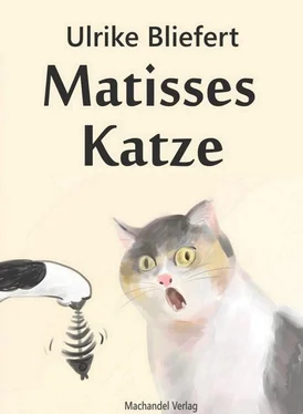 Ulrike Bliefert Matisses Katze обложка книги