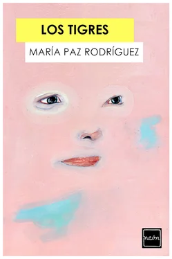 María Paz Rodríguez Los Tigres обложка книги