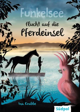 Ina Krabbe Funkelsee – Flucht auf die Pferdeinsel (Band 1) обложка книги