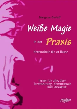 Mangana Gerloff Weiße Magie in der Praxis - Hexenschule für zu Hause обложка книги