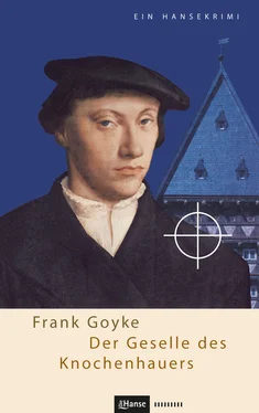 Frank Goyke Der Geselle des Knochenhauers обложка книги