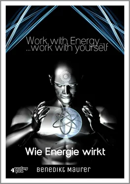 Benedikt Maurer Work with Energy …work with yourself обложка книги