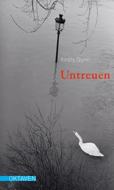 Kirsty Gunn Untreuen обложка книги