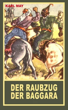 Karl May Der Raubzug der Baggara обложка книги